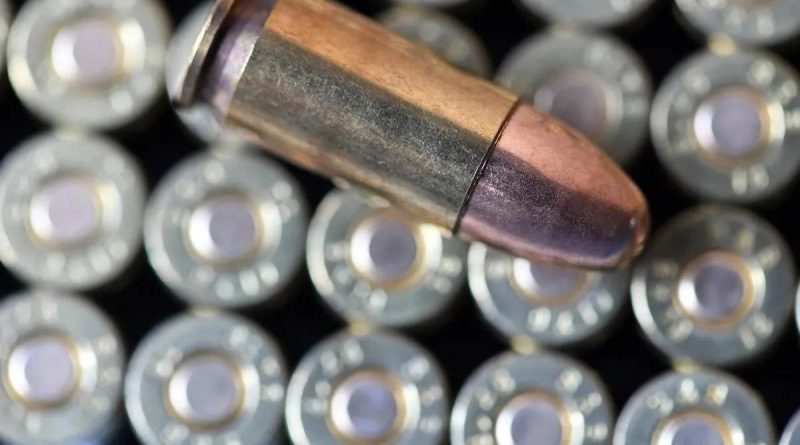 Başlık: Almanya'da Ordudan 20 Bin Mermi Çalındı Alman Savunma Bakanlığı'nın