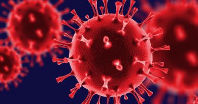 Başlık: İspanya'dan Grip Salgınına Covid Önlemleri İspanya, grip salgınına</strong