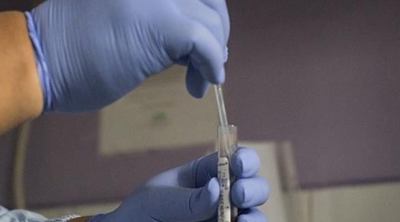 Here is the rewritten text in Turkish: Başlık: DSÖ: 2024'te