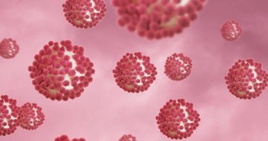 Here is the requested output in Turkish: H3N2 Grip Virüsü