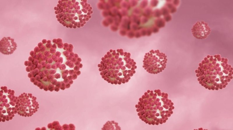 Here is the requested output in Turkish: H3N2 Grip Virüsü