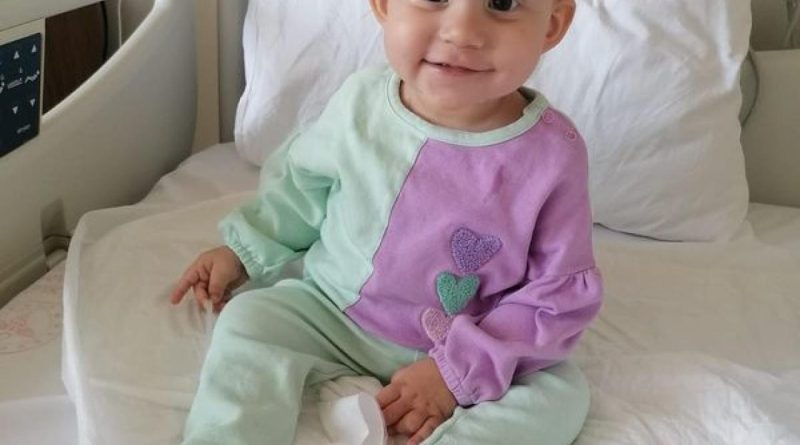 Kanserle Savaşan 2,5 Yaşındaki Kızın Adına Orman Olu