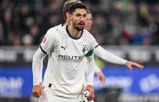 Sakatlığın yükü, dönüş umudu, Kleindienst'in mücadelesi