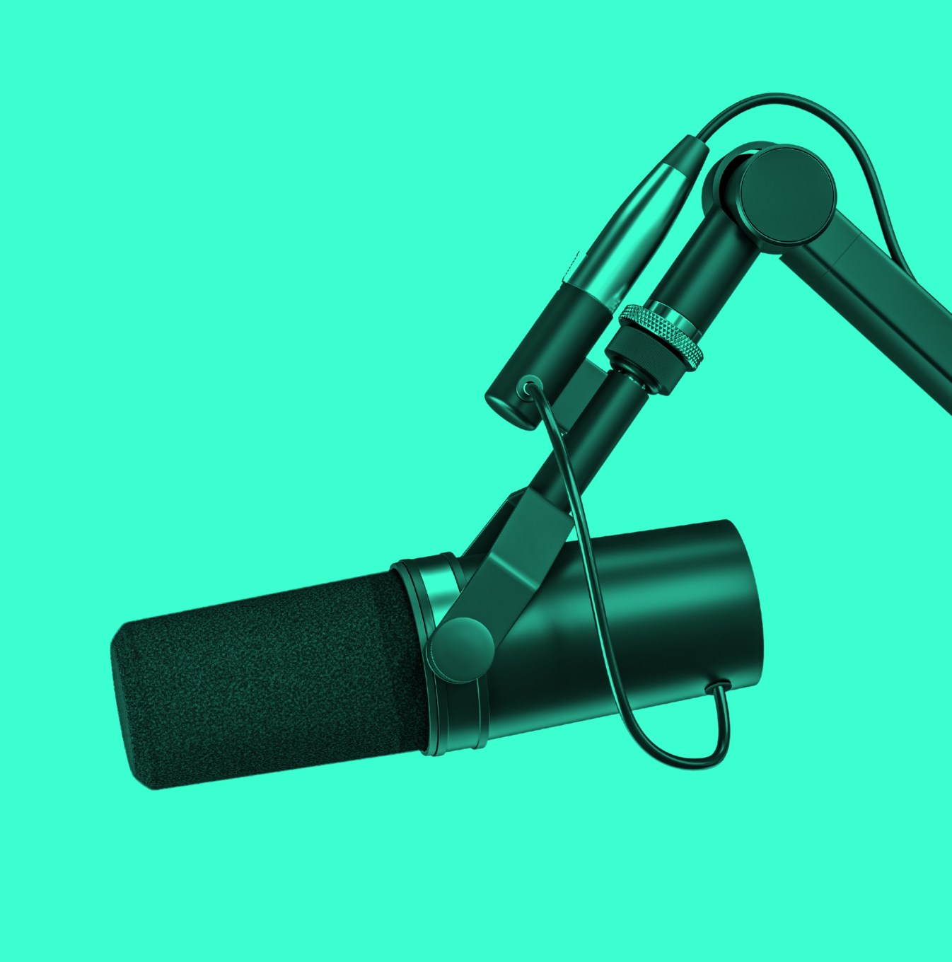 Federaller zayıfladı, TikTok'un kaderi gülünç oldu