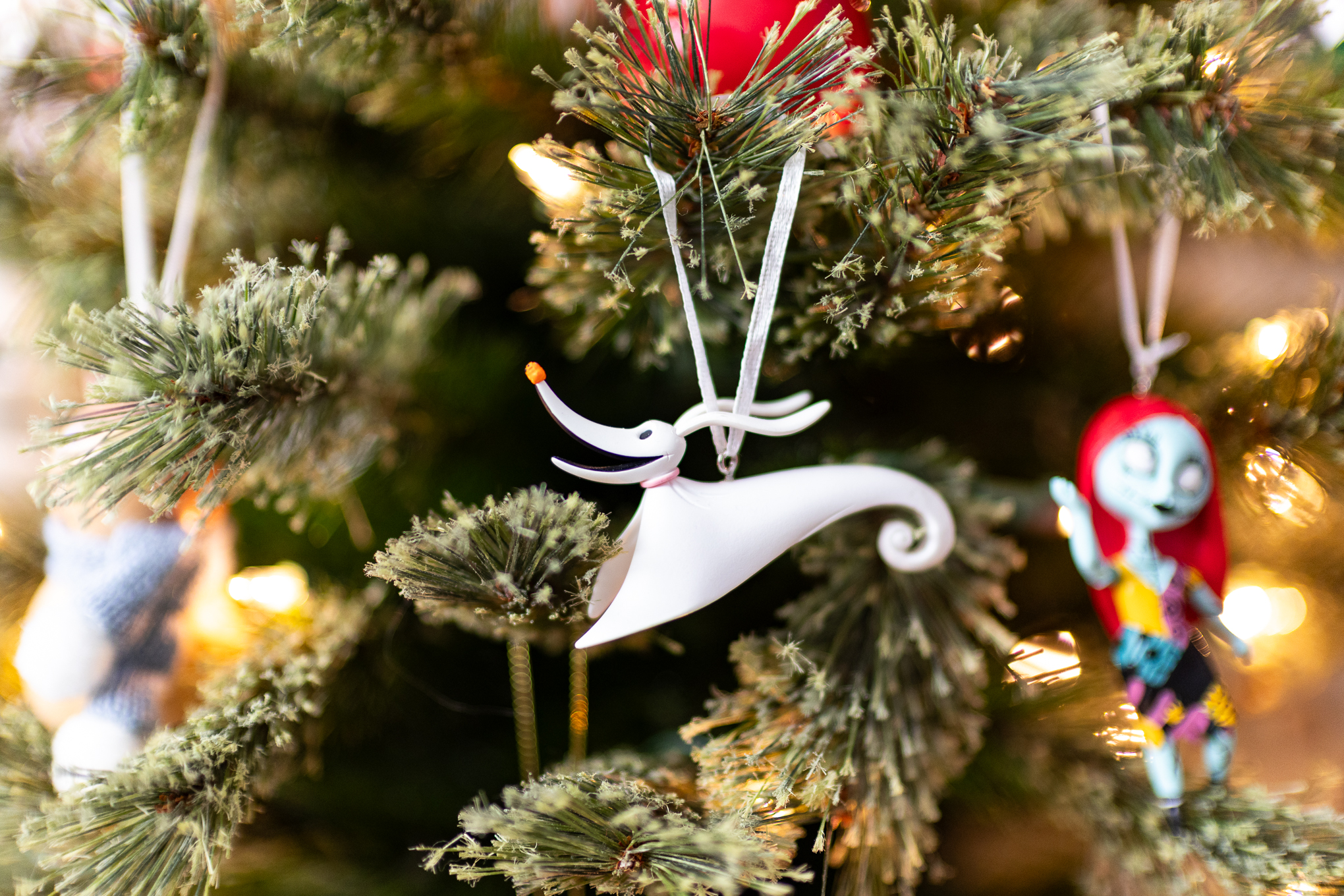 Keskin detaylar, bokeh rüyası, fiyatıyla şaşırtan