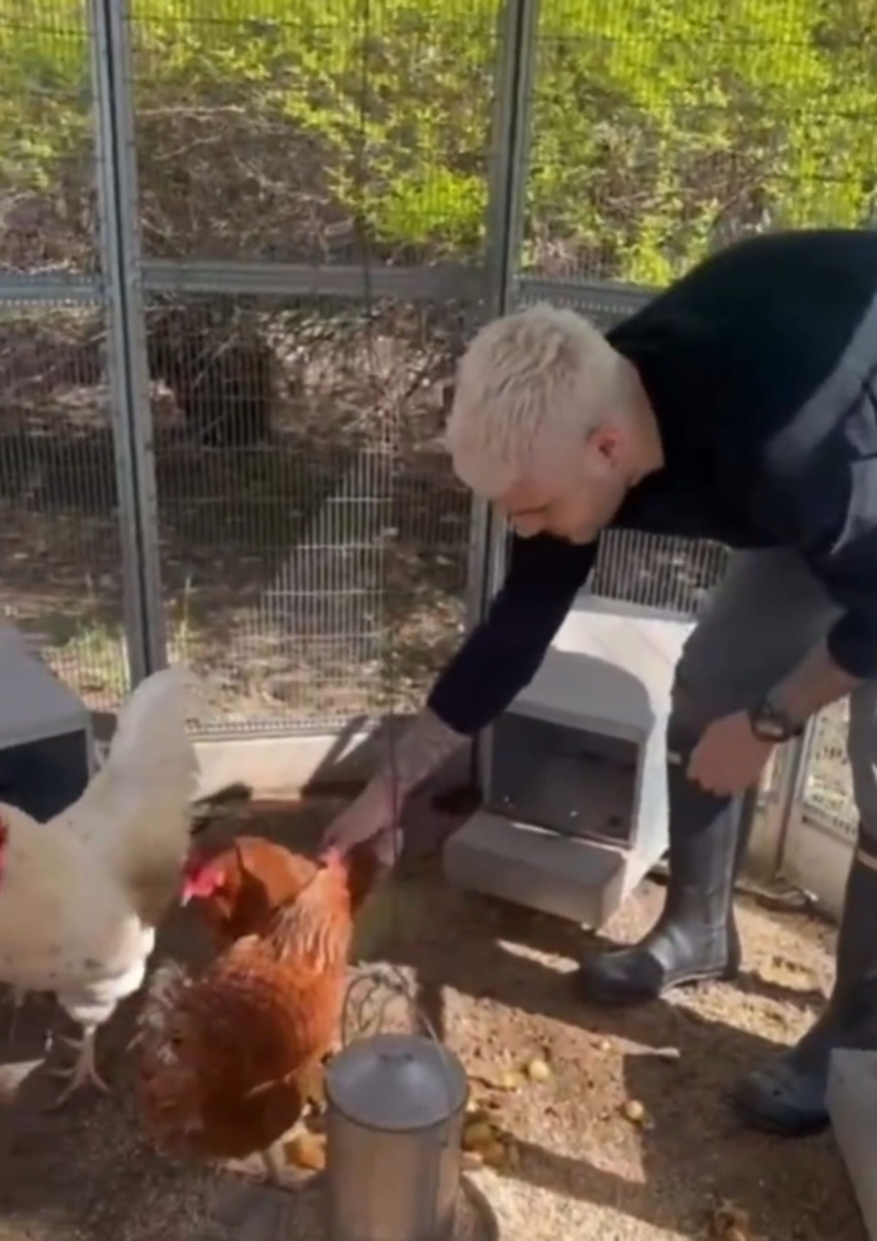 Tavuk büyüsü iddiası, skandal, futbol, Arjantin, boşanma