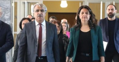 Son Dakika: DEM Parti İmralı'yı Ziyaret Edecek! Son dakika haberi