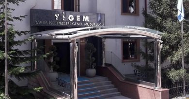 TİGEM, 14 Arap Kısırağını Tek Tek Satacak Tarım ve Orman