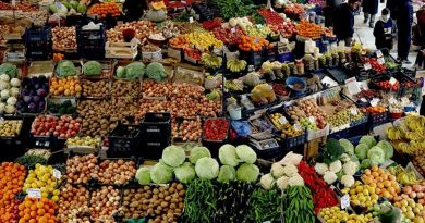 Küresel Gıda Fiyatları Kasımda Geriledi FAO Açıkladı: Küresel Gıda Fiyatları