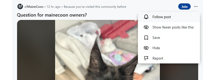 Görsel için alt metin önerileri: Daha fazlasını görmek için ayarlarını