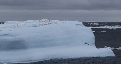 Buzun altından gelen sesler, evrenin fısıltısı mı?