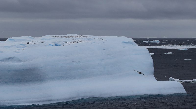 Buzun altından gelen sesler, evrenin fısıltısı mı?