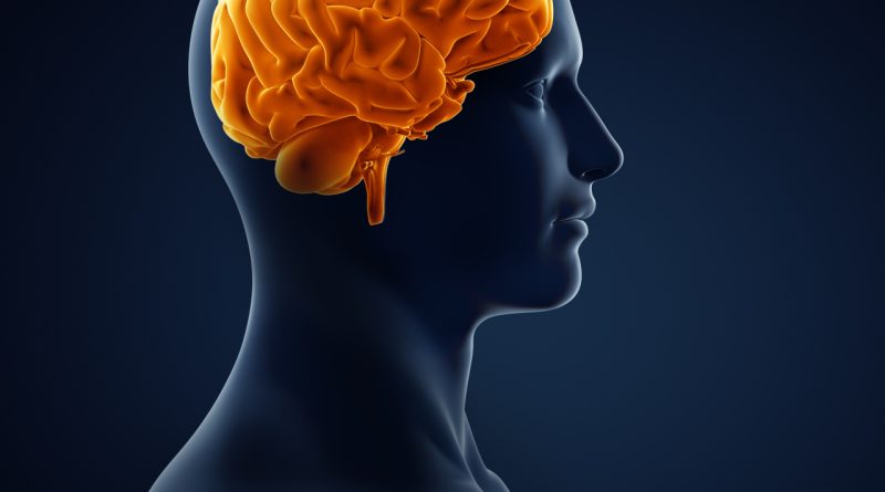 Kırılgan zihinler, derin izler, sessiz çığlıklar, umut yeşertmek gerek