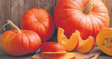 Sarı tatlılık, hasat mevsimi, lezzet dolu anlar