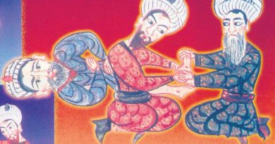 Saray entrikası, afyon, çöküş ve sultanın öfkesi