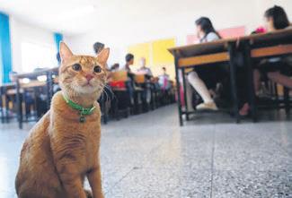 Yüz, veri, gelecek: Dijital benlik yeni bir gelir kaynağı