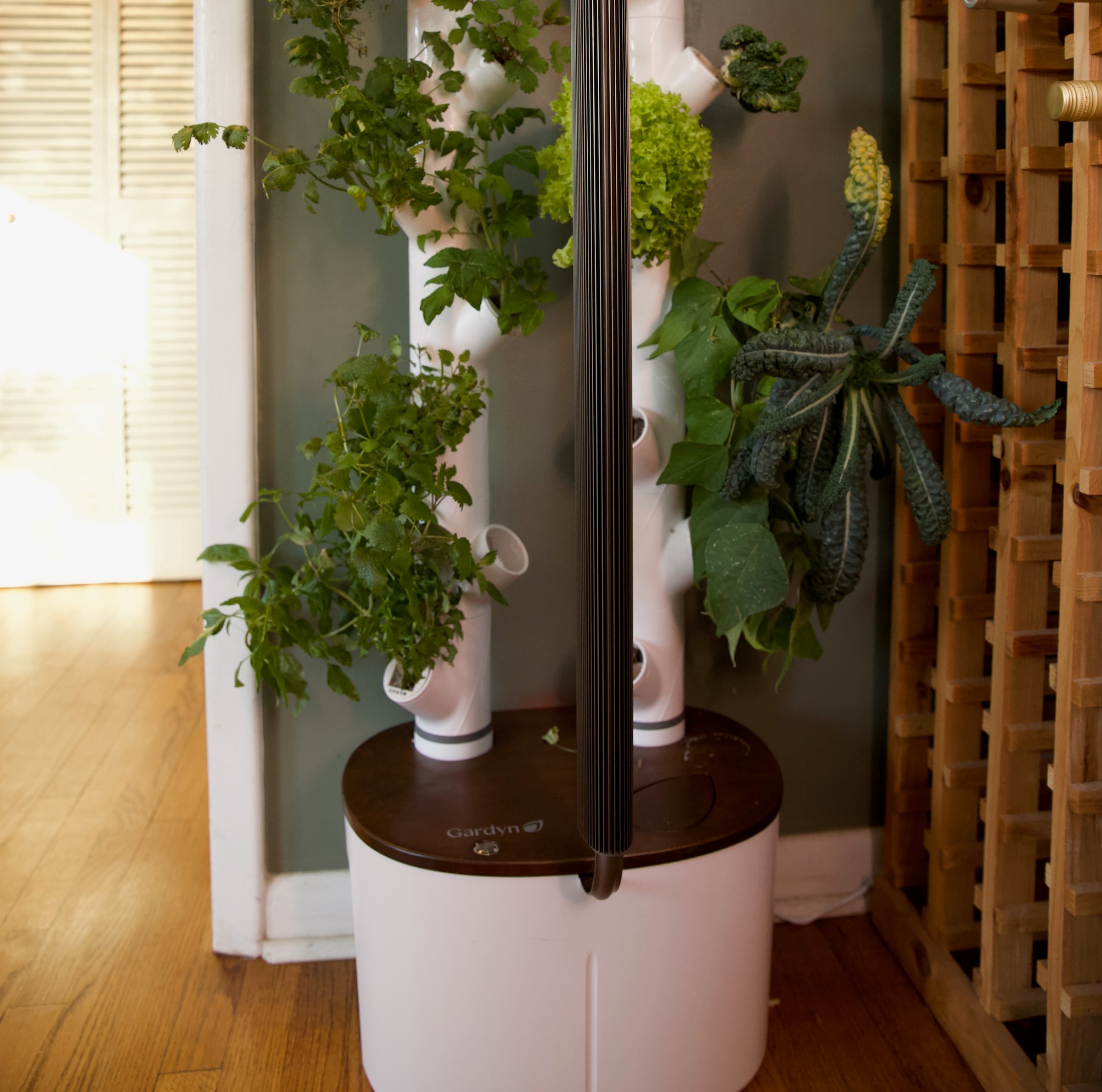 Yeşil yaşam, evin içinde, akıllıca ve kolayca