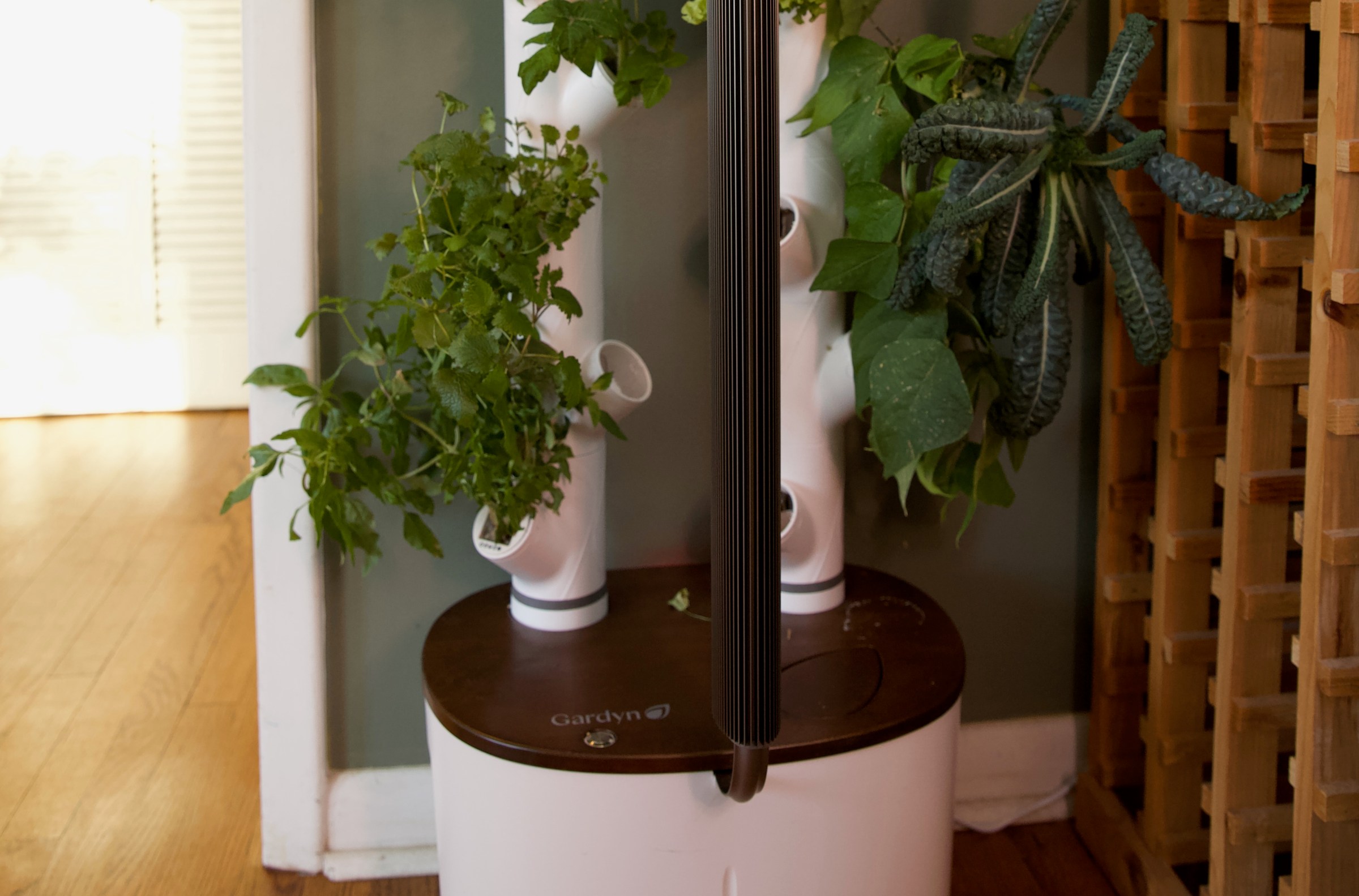 Yeşil hayat, evin içinde, teknolojiyle büyüyor