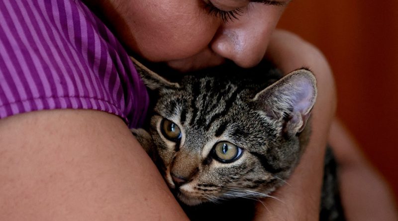 Kedi 103 gün sonra AI yardımıyla bulunan Texaslı kadın🏠🐱🔍