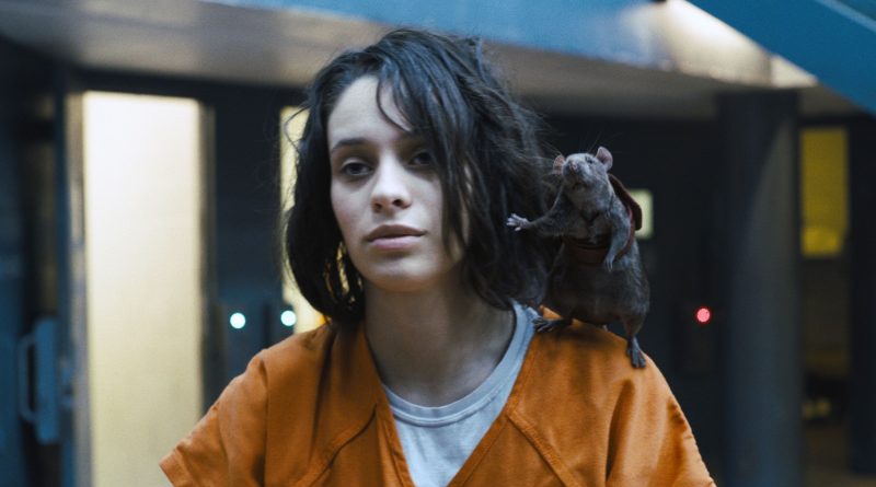 Daniela Melchior, Ratcatcher 2'nin geleceği hakkında belirsizlik