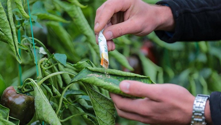 Kışlar yetersiz, tarım arazileri tehdit altında, verim düşüyor
