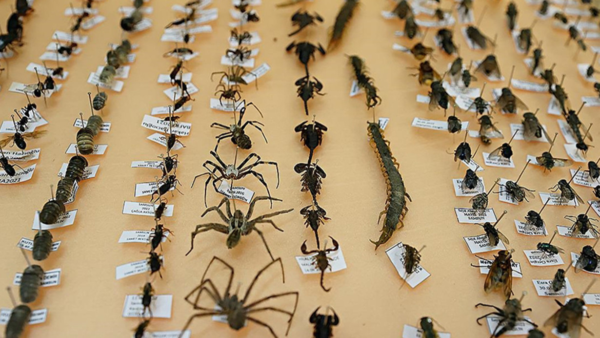 Kışlar yetersiz, tarım arazileri tehdit altında, verim düşüyor