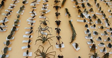 Kışlar yetersiz, tarım arazileri tehdit altında, verim düşüşü