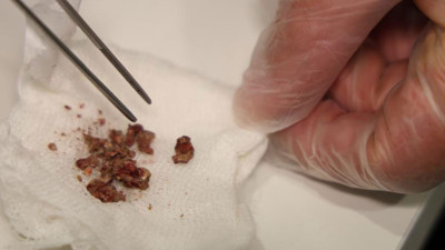 Umutlandıran haber: Antarktika'daki ozon deliği kapanıyor!