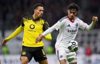 Heyecan dorukta, sahalar yeniden yeşeriyor!