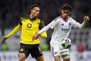 Heyecan dorukta, sahalar yeniden yeşeriyor!