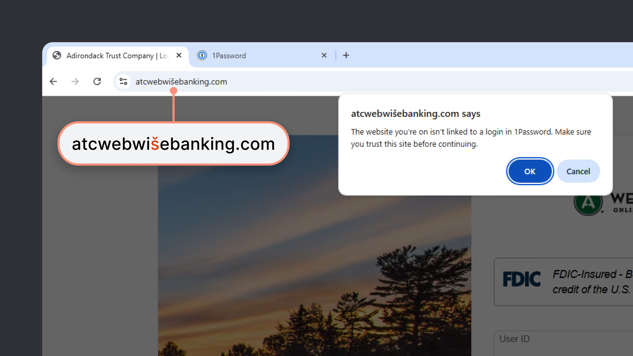 Güvenli tarama, huzurlu dijital yaşamın anahtarı