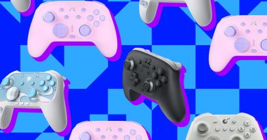 Oyun keyfini artıracak, farklı kontrolcü seçenekleri incelemesi