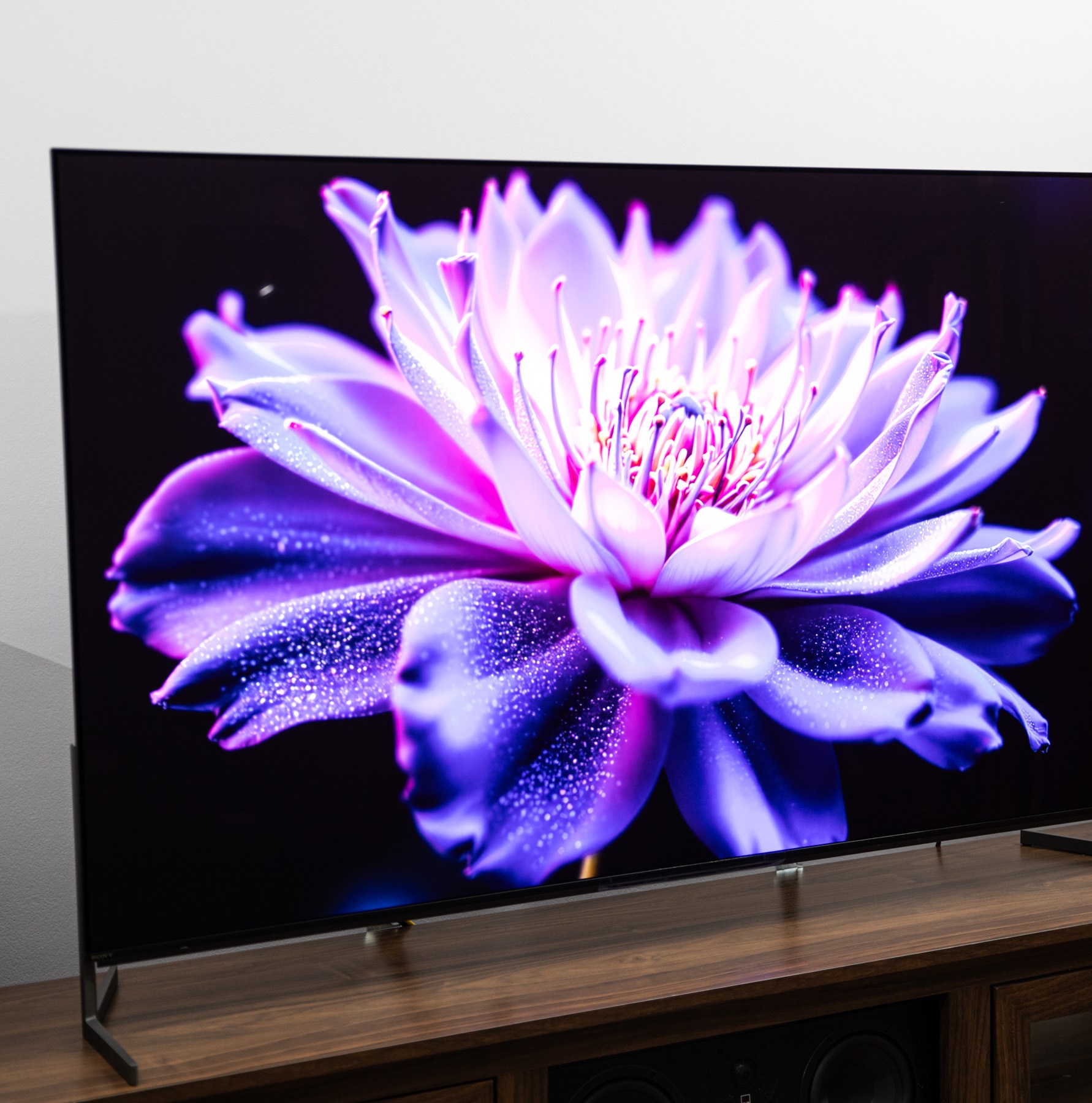 Görsel için alt metin önerileri: Renklerin dansı, ekranın büyüsü Görüntü