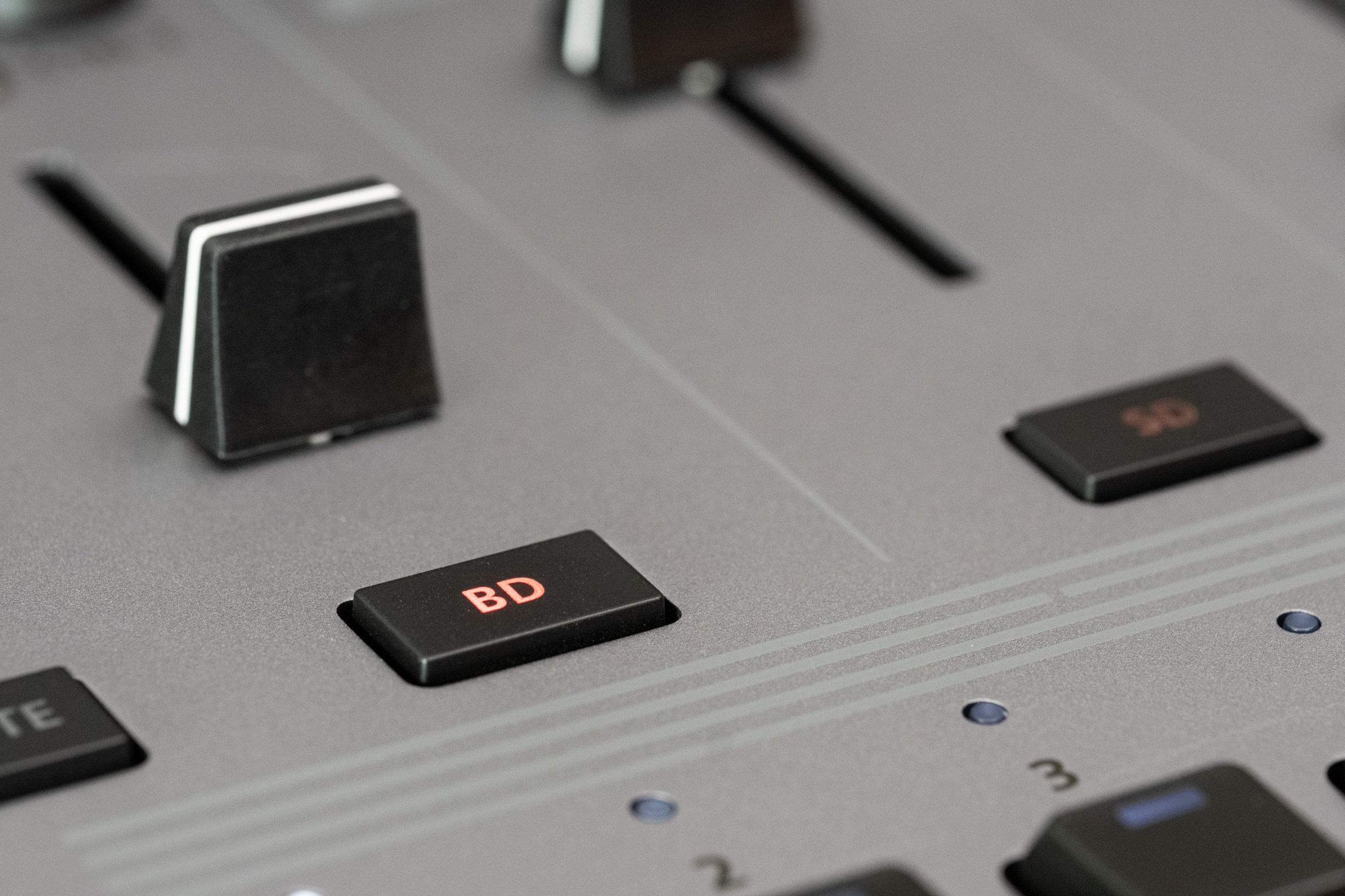 Ritmik kalbin atışı, geçmişten geleceğe yankılanıyor