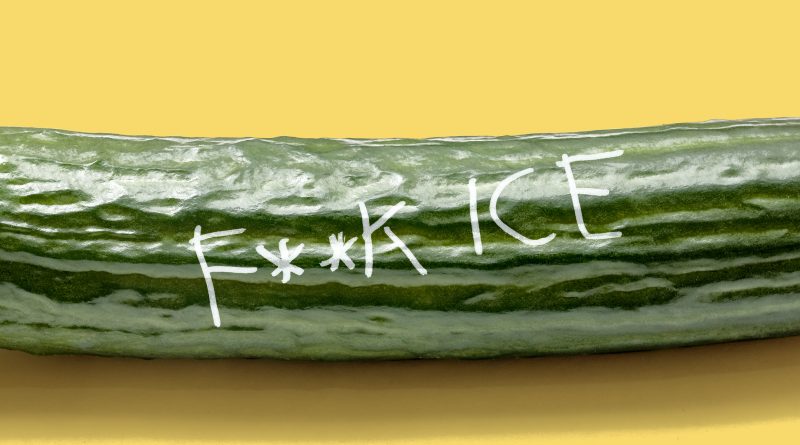 Göçmenlik, öfke, internet, Minneapolis, adalet arayışı