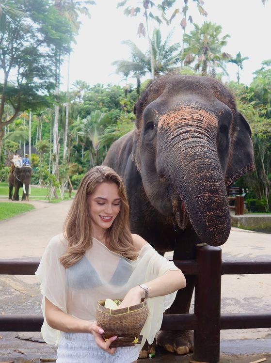 Güneş, deniz, kahkaha Unutulmaz bir yıl böyle biter