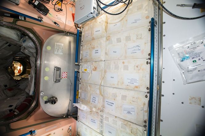 Evrenin derinliklerinden umut, sağlık için yeni bir başlangıç