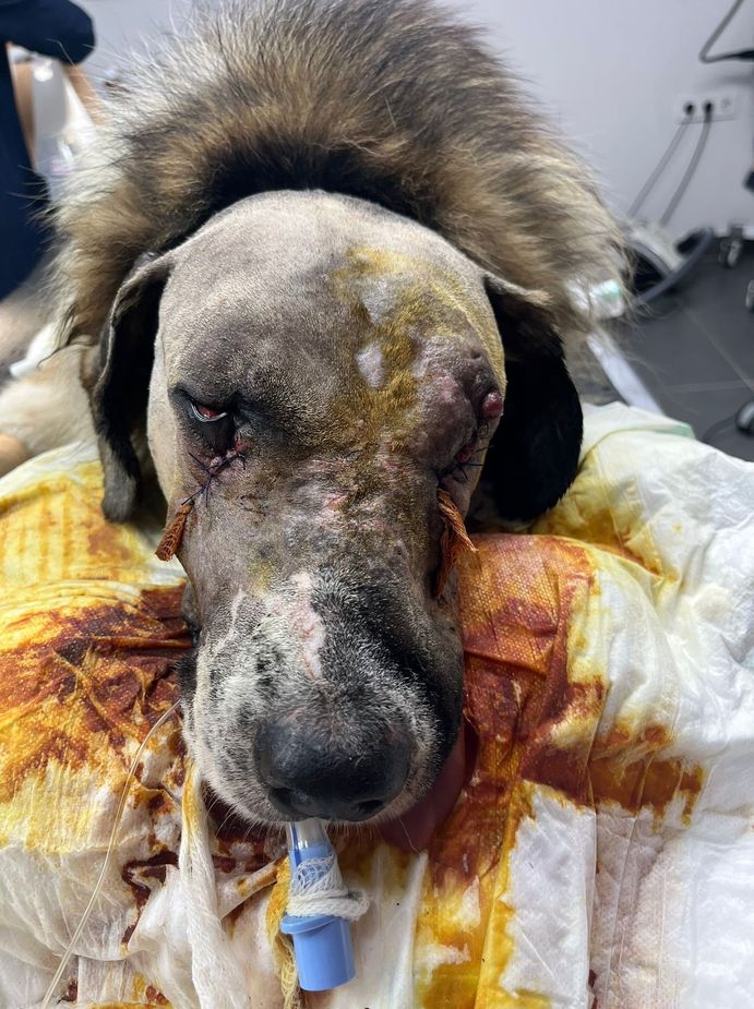 Ateş'in davasında yeni bir sayfa açıldı, umut doğdu