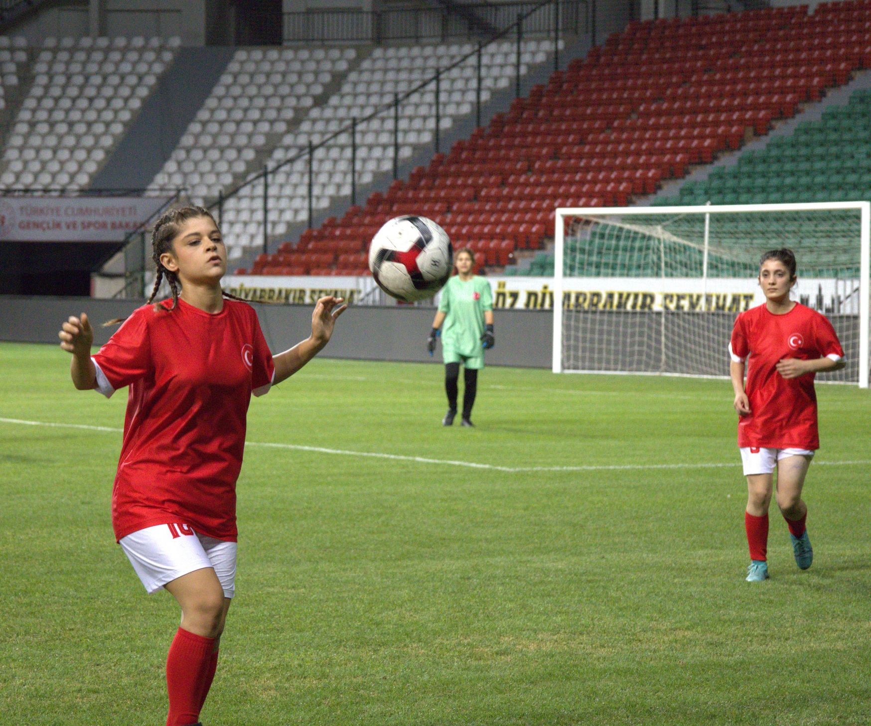Hayaller, ter, azim ve aile bağları