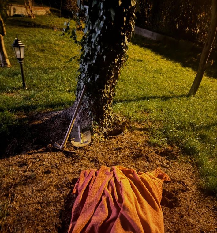 Kalp kırıklığı, dostluk, vedalaşma, sonsuz anılar