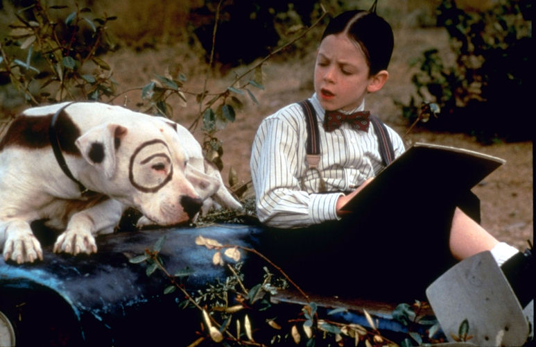 Arkansas'ta huzur, aile ve doğayla iç içe bir hayat