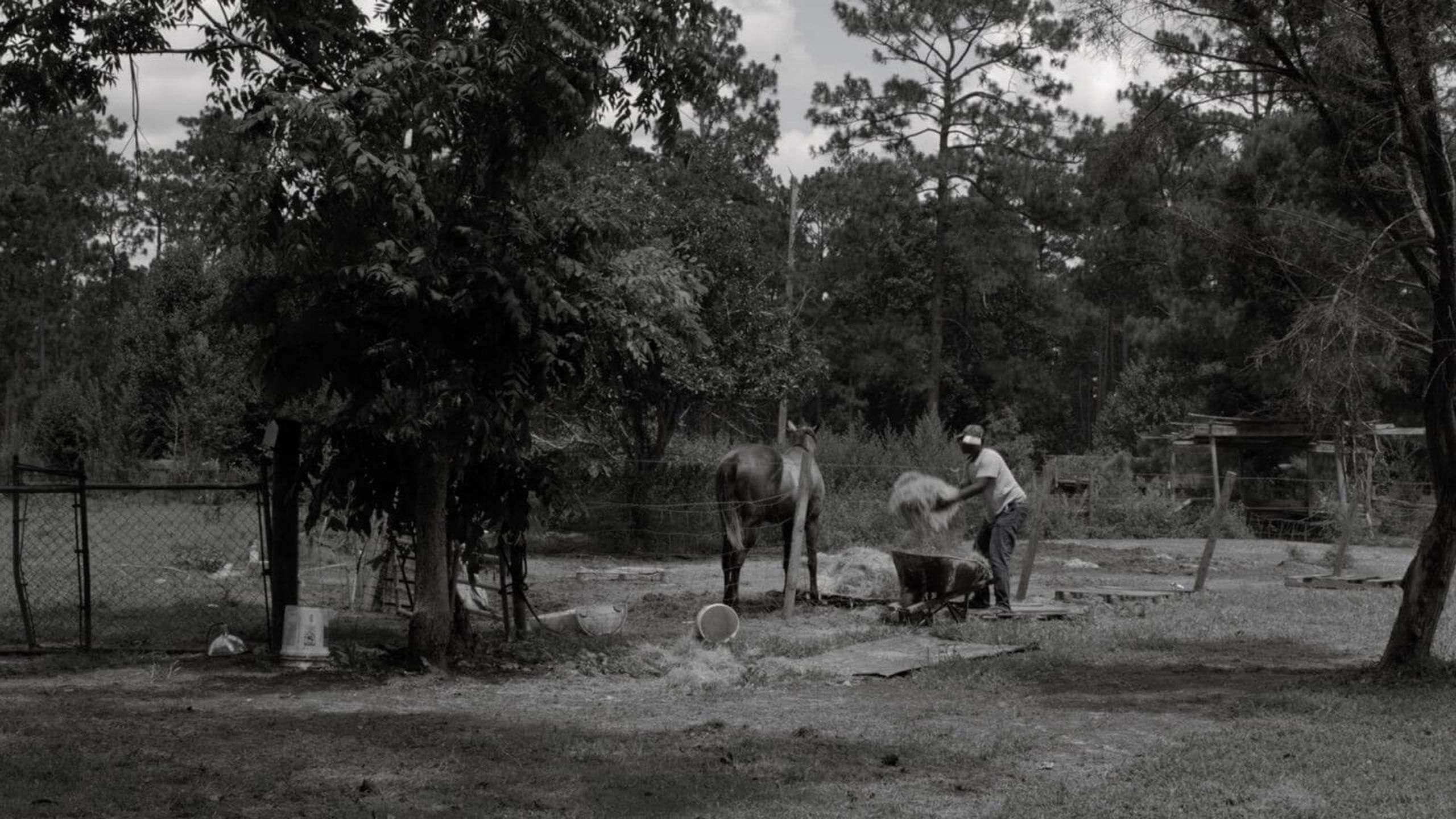 Toprakla bütünleşmiş hayatlar, umut ve direnç hikayesi
