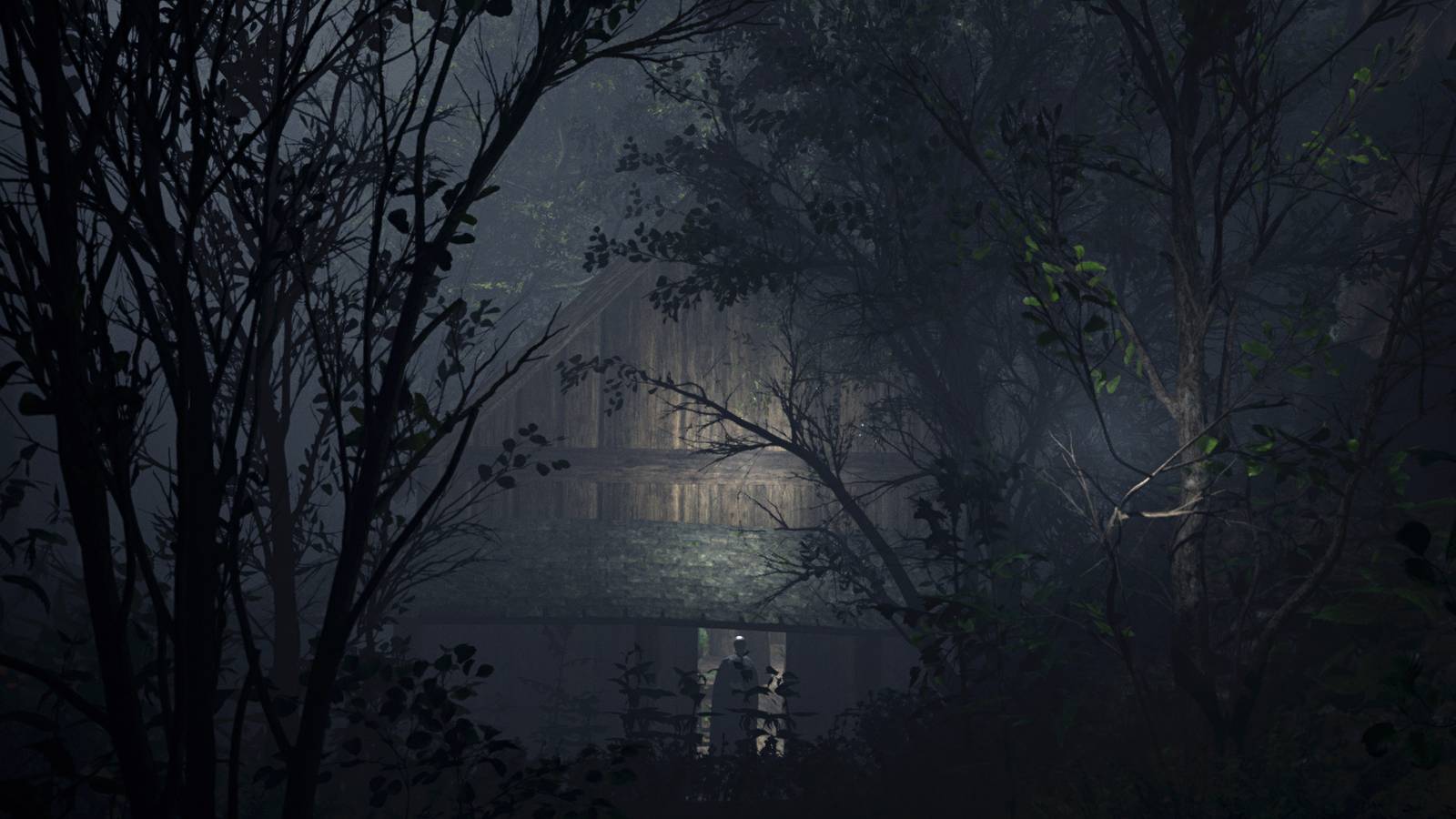 Karanlık, gerilim, hayatta kalma; ruhu okşayan bir korku