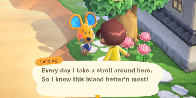 Ada canlanıyor, rutinler adanın kalbi