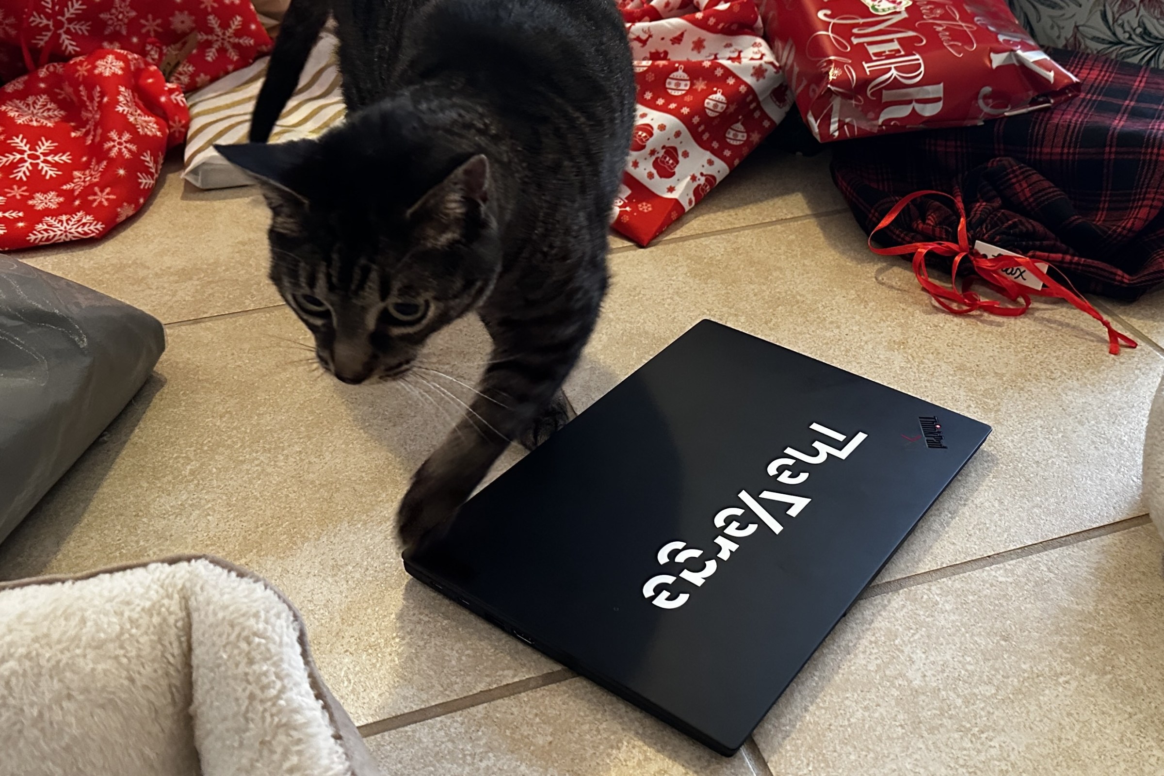 Özgürlük, kontrol ve yeni bir soluk