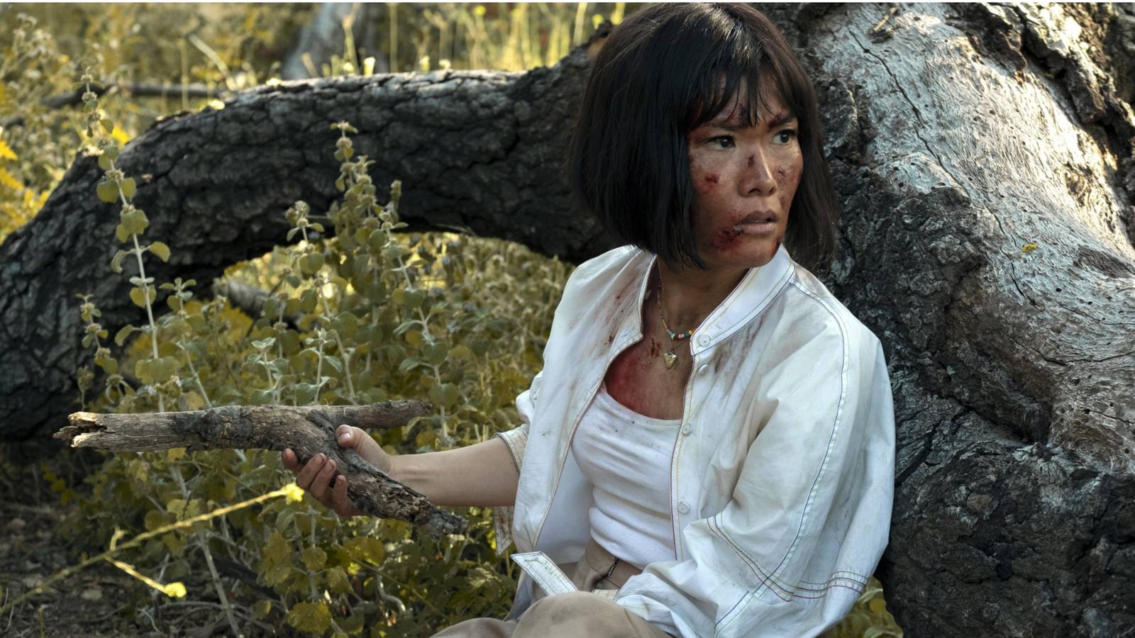 Yeni yüzler, yeni hikaye, 