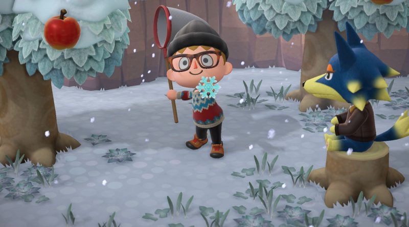 Ada hayatı, keşif, yaratıcılık ve sonsuz eğlence