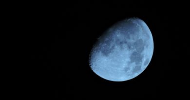 Ayın gizemli yüzleri, Çin'in keşfiyle aydınlanıyor