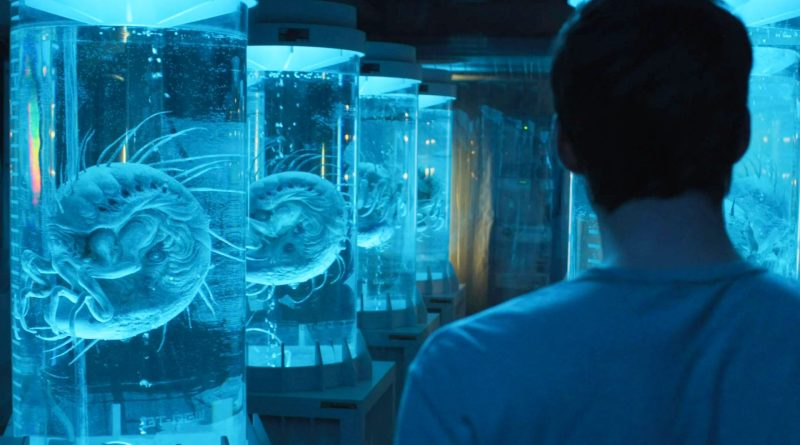 Gizem, gerilim, bilimkurgu: Labirent yolculuğu yeniden başlıyor