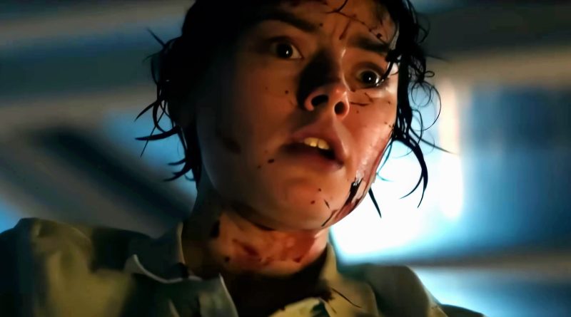 Gizem, umutsuzluk, hayatta kalma mücadelesi, karanlık sırlar